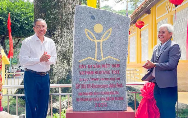 CÂY[-]DI[-]SẢN[-]VIỆT[-]NAM:[-]Công[-]nhận[-]Cây[-]Di[-]sản[-]đầu[-]tiên[-]tại[-]huyện[-]Thoại[-]Sơn[-]-An[-]Giang